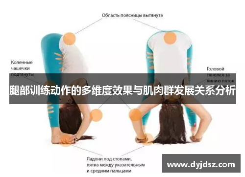 腿部训练动作的多维度效果与肌肉群发展关系分析